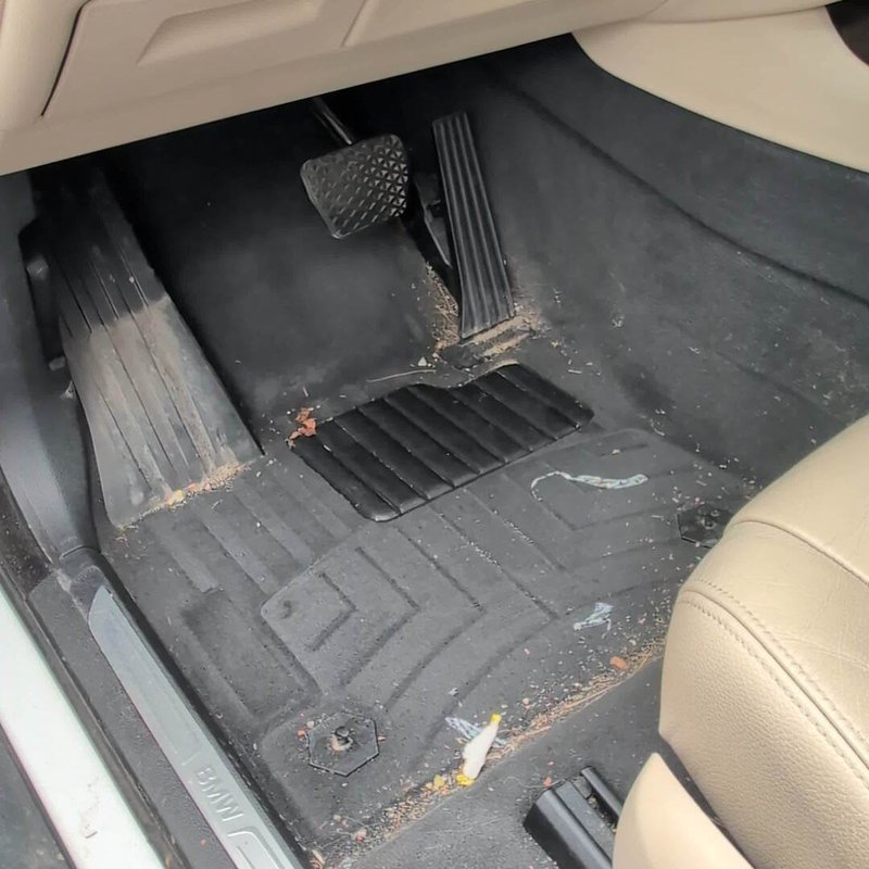 Before detailing: dirty floorboard